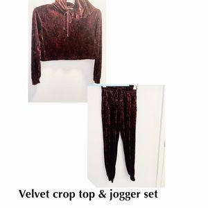 ❤️Forever 21 velvet crop top hoodie and jogger set